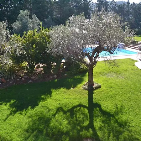 Villa Zagara Luxury Bed And Breakfast-2
